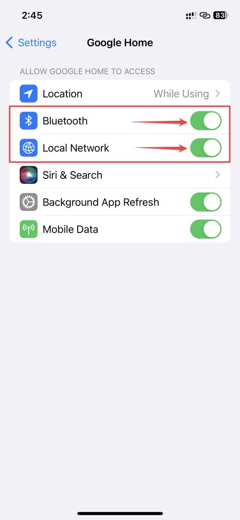Enable Bluetooth and Local Network access to the Google Home app in Settings
