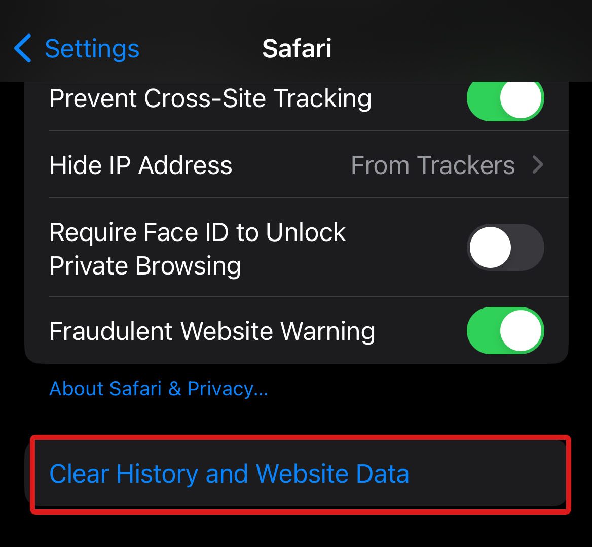 clear history and website data