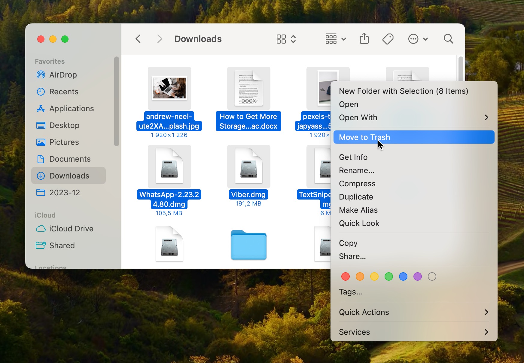 cleanup downloads folder mac