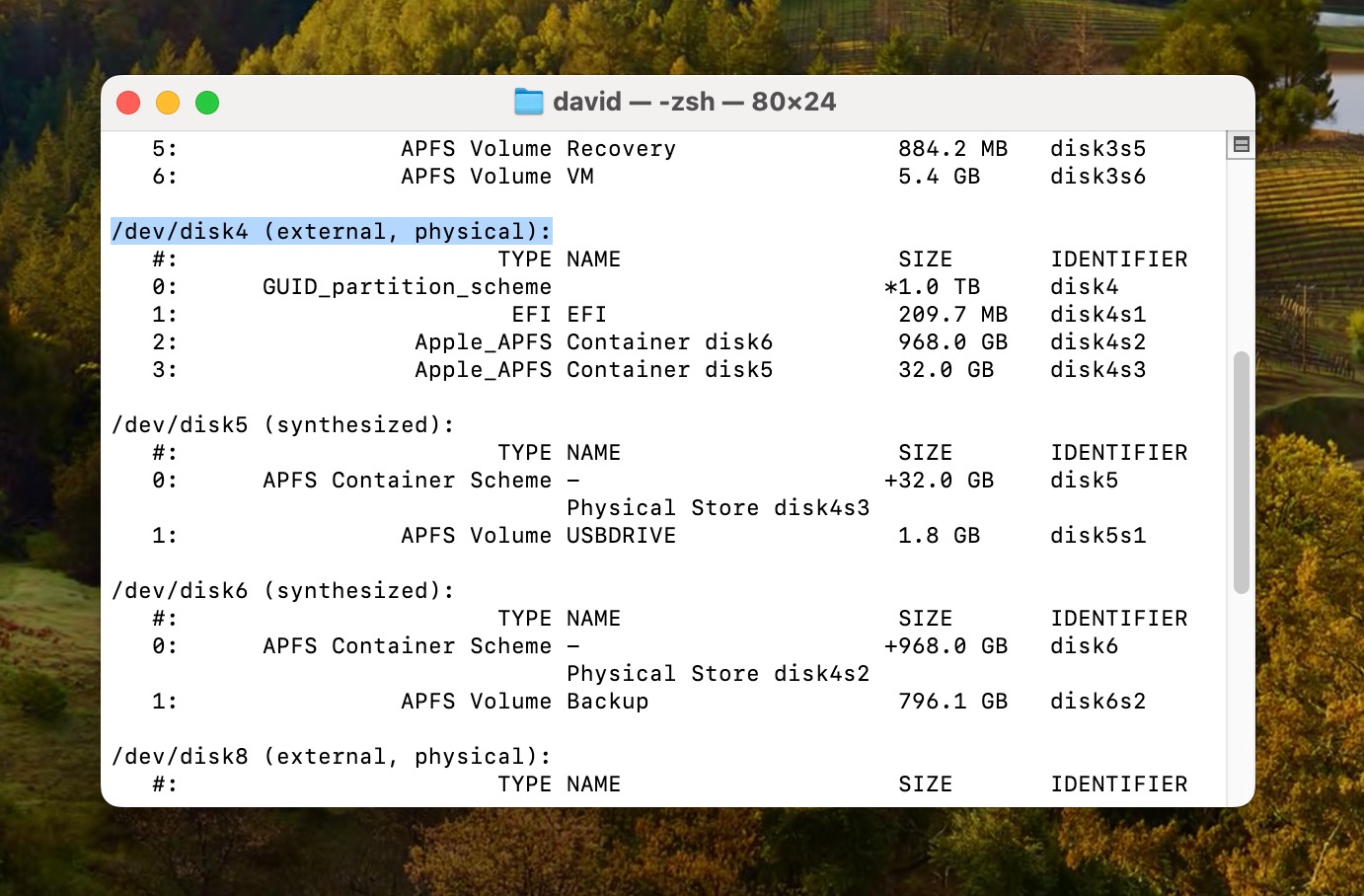 diskutil list command terminal