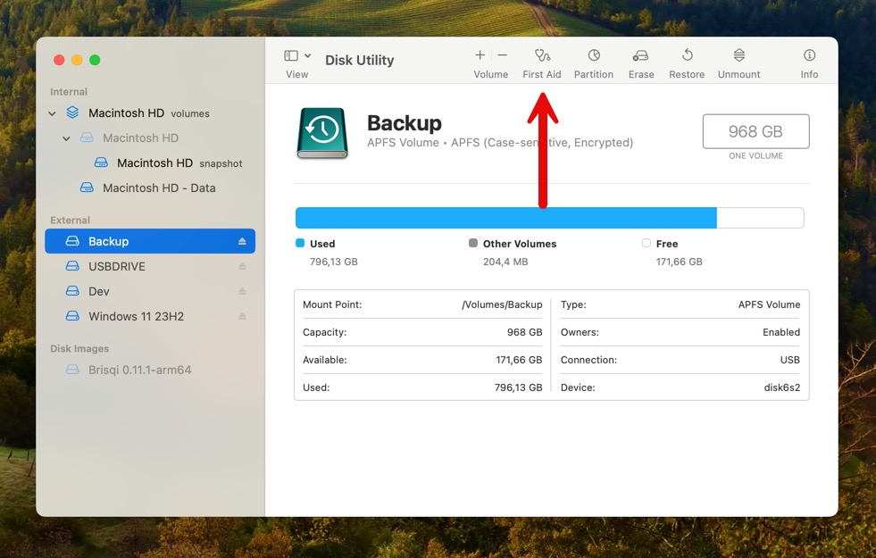 macos disk utility first aid button highlighted