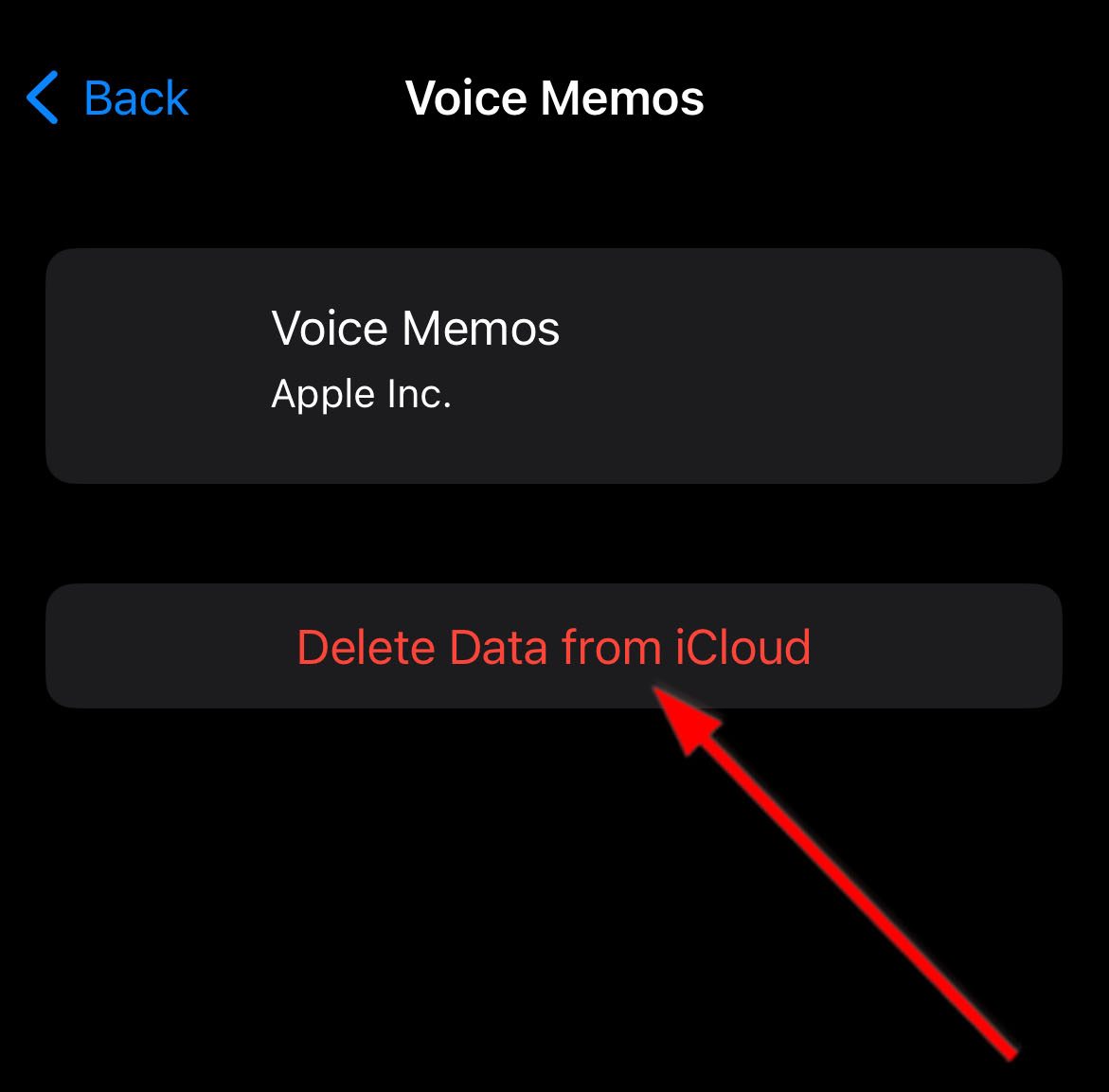 Delete App Data From iCloud