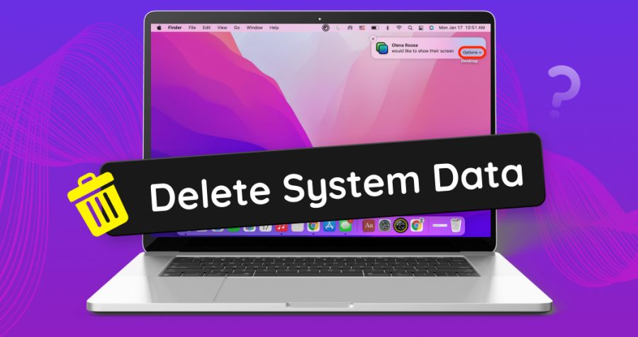 Clean Mac System Data