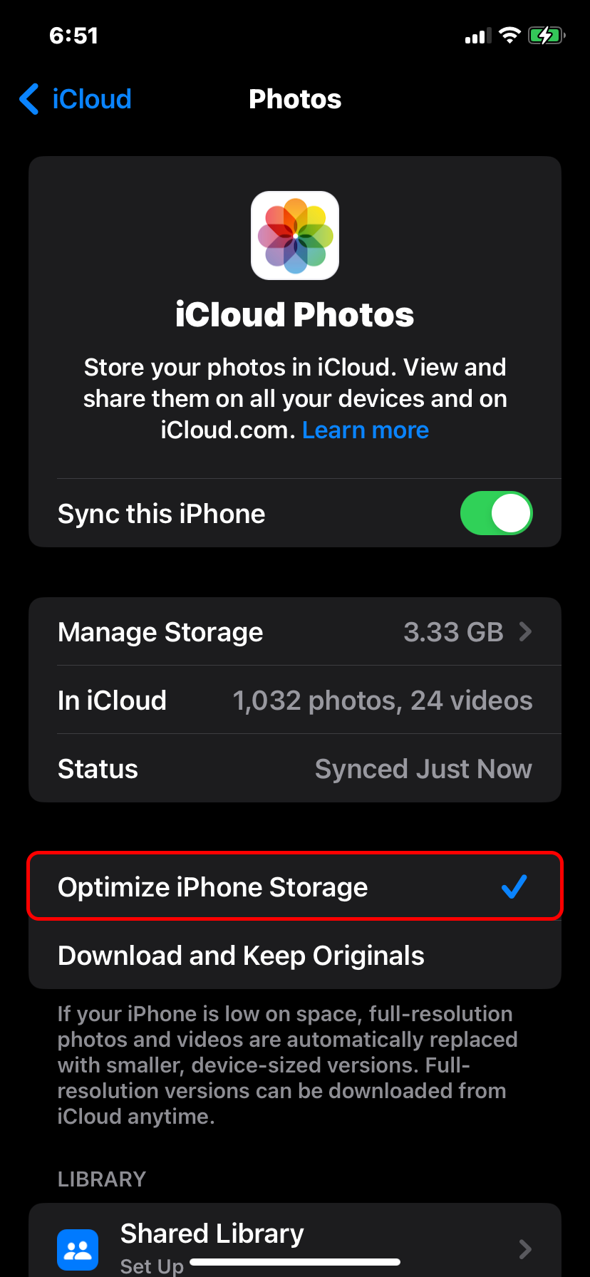Optimize iphone storage in Icloud